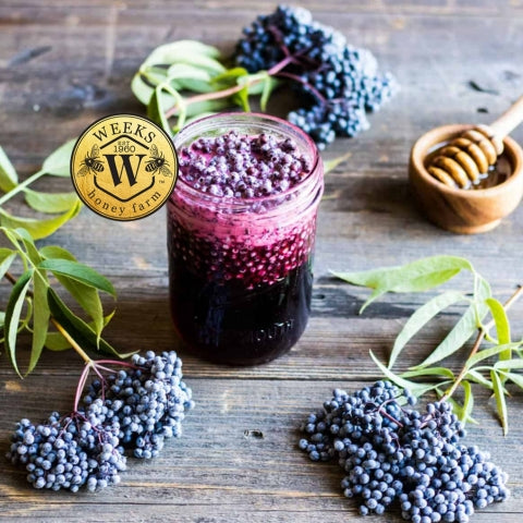 The Complete Guide to Elderberry Honey | What Makes It Special