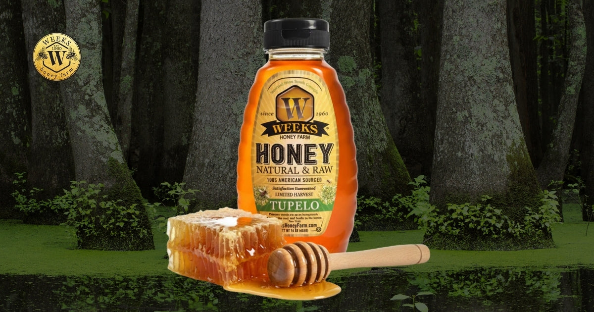 Why Tupelo Honey Is the Most Prized Honey in the American South — And How to Know You're Getting the Real Thing